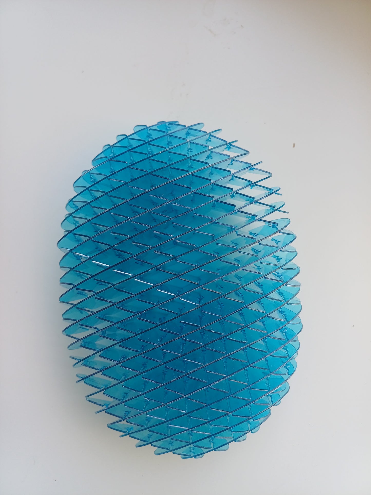 sensorische worm